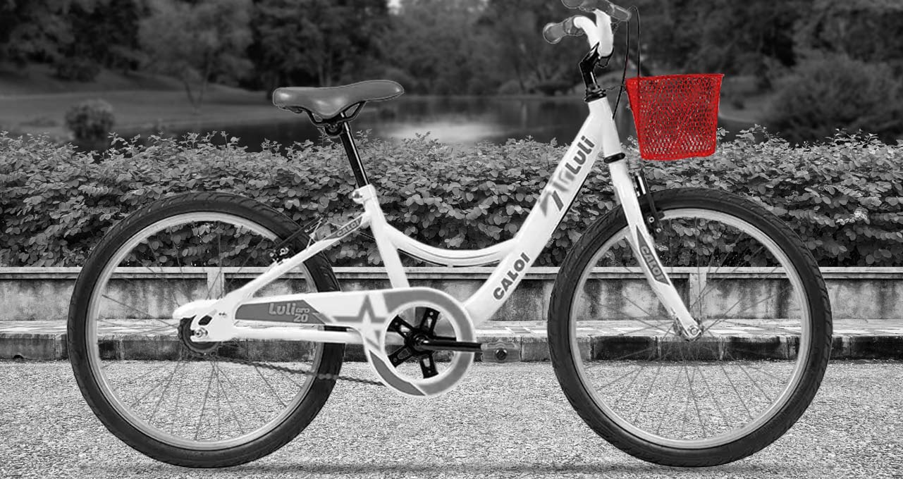 Alvoteq, a única fabricante nacional de cesta para bicicleta com chapa expandida